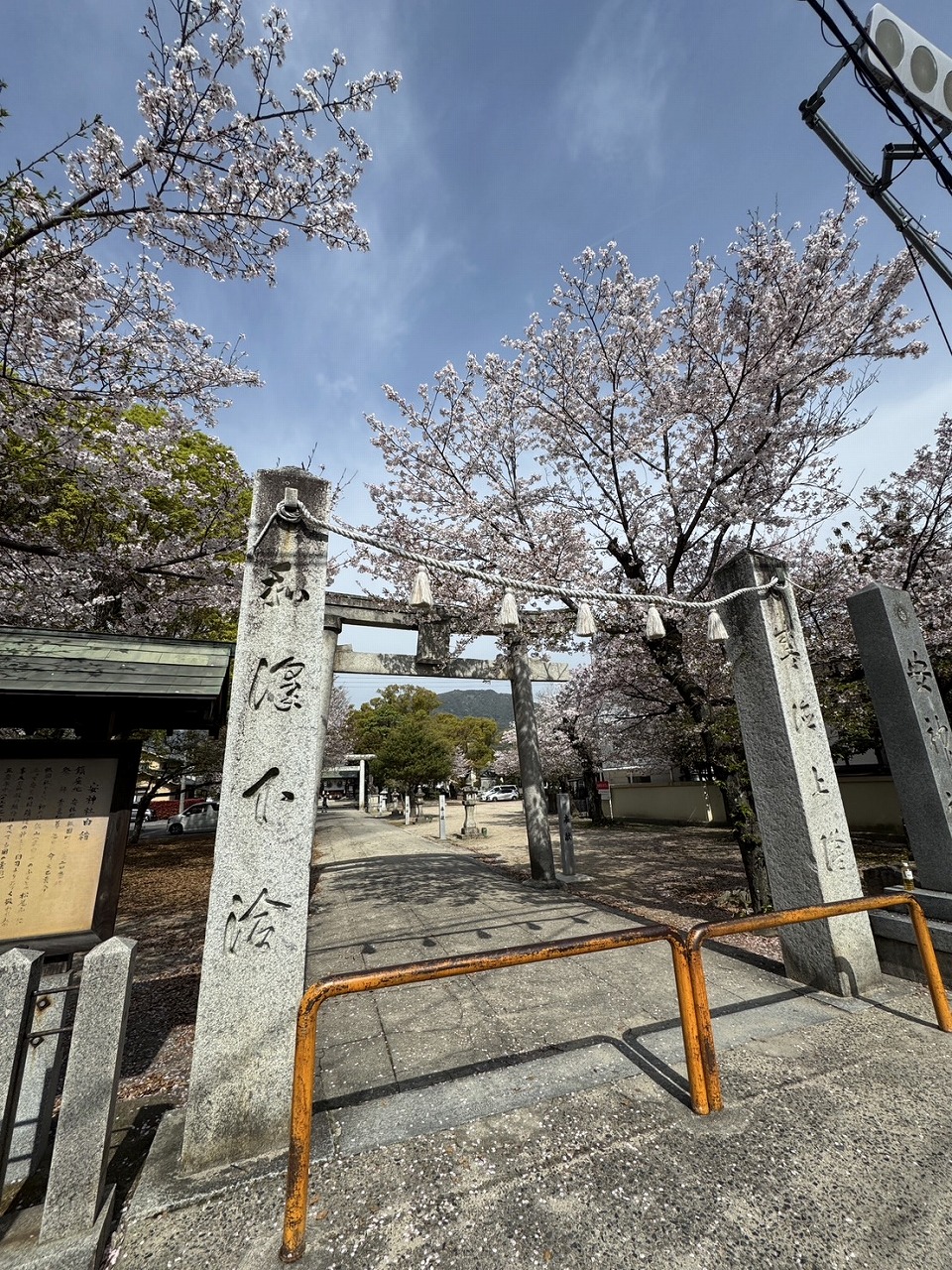 今年も桜が咲きました